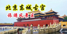 黄色免费操逼网址中国北京-东城古宫旅游风景区